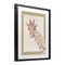 Stupell Industries Sweet Giraffe with Bows Framed Print Under Glass, design by Sadie Harper